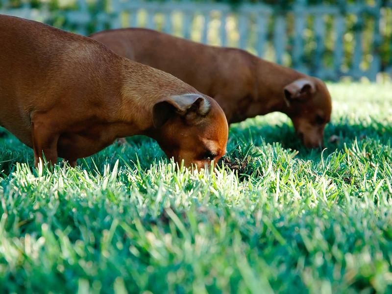 sudoku android app screenshot 6